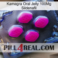 Kamagra Oral Jelly 100Mg Sildenafil 02